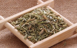 如何選擇茶葉包裝機(jī)廠家？選擇標(biāo)準(zhǔn)解析茶葉包裝機(jī)廠家。